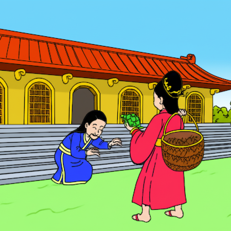 Chàng rể rùa