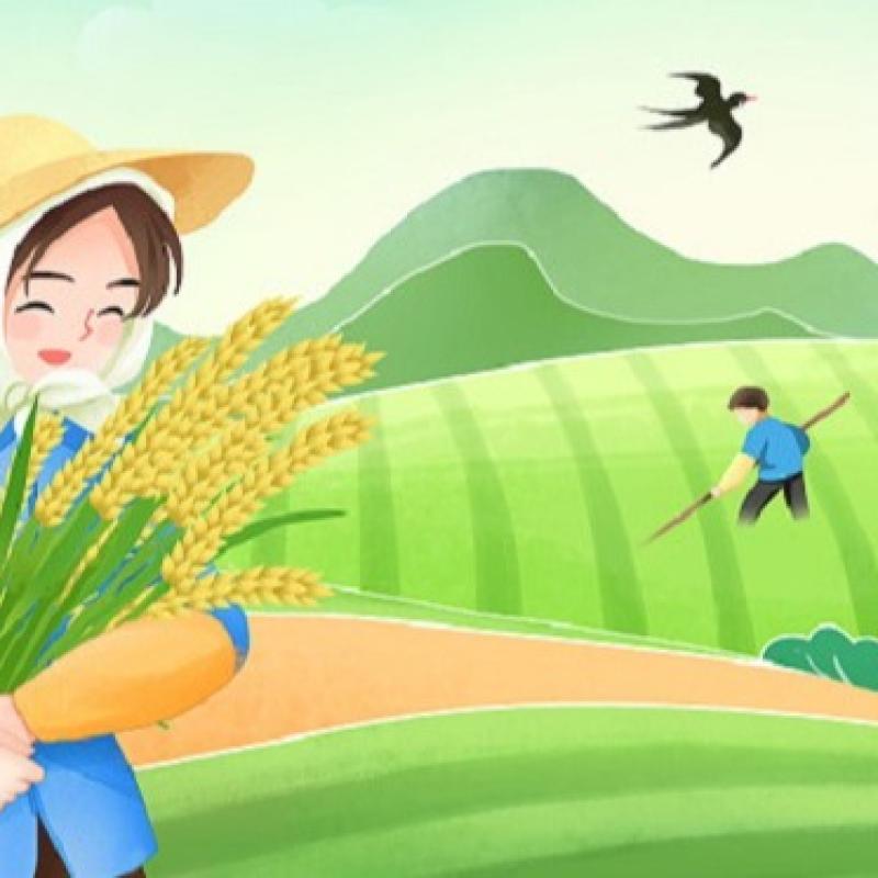 Sự tích hạt lúa